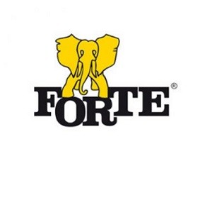 Logo Meble Forte